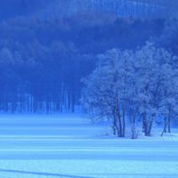 ノルウェーの森