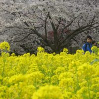 WS《安心して変容の時を前進していくために》