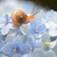 雨の恵み、太陽の恵み