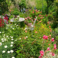 あなた自身の花園を・・